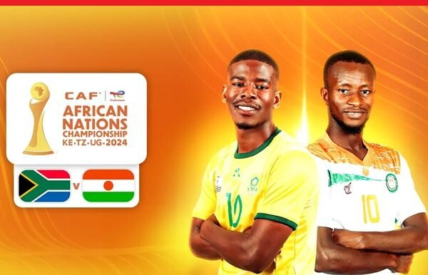 niger vs south africa