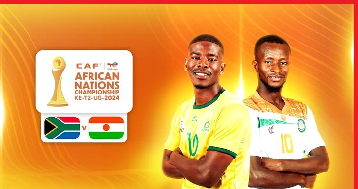 niger vs south africa