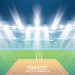 How Many Creases Are There in Cricket