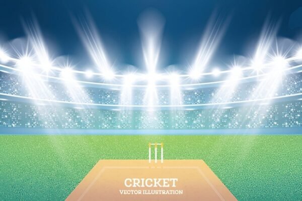 How Many Creases Are There in Cricket