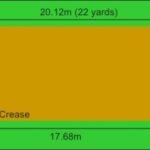 How Many Creases Are There in Cricket?